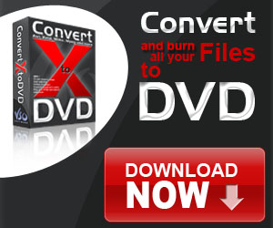 Videforex vs raceoption